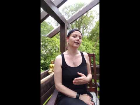 Tiere u. Reinkarnation Antwort aus der Geistigenwelt