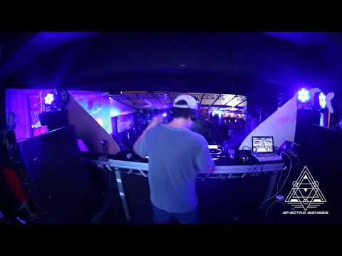 Spectro Senses - Dinamo 1 ano