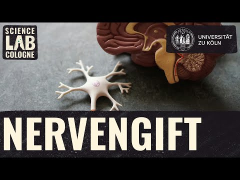 Neurobiologie - Wie wirken Nervengifte im Körper?