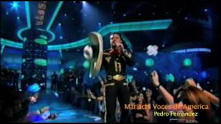 Amarte A La Antigua / Pedro Fernandez - Mariachi Voces De América