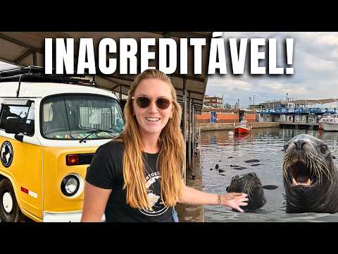 Vivendo de Kombi no país mais caro da América do Sul | Ep.377