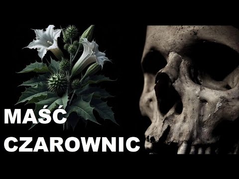 32# Maść Czarownic do latania - Nasiona Roślin: Bieluń dziędzierzawa, Datura stramonium, Pindyrynda