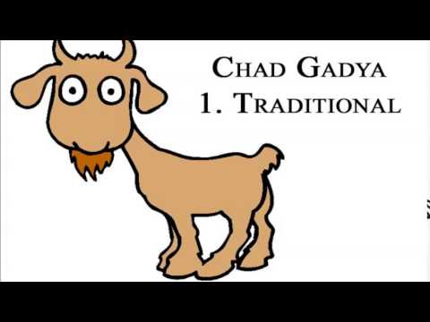 Must-Know Passover Terms | My Jewish Learning