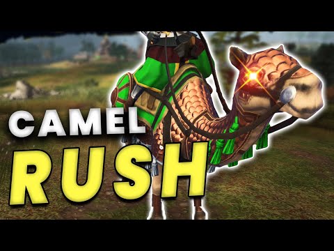 The Best AYYUBID Build to End Games FAST (Win in 15 mins or less, Full Guide)