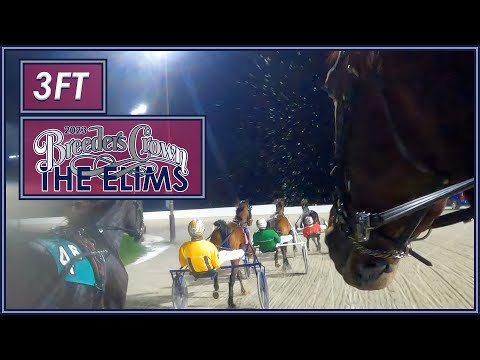 2023 Breeders Crown Elims - 3FT