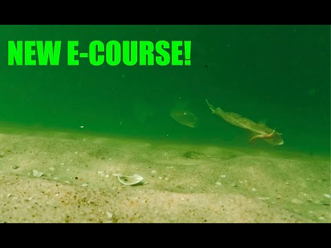 NEW ONLINE COURSE - "A Comprehensive Guide to Single Jigging for Fluke from Shore"