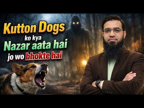 Kutton Dogs ko Kya nazar aata hai jo wo Bhogte hai? | MOI | Message of Islam | Arshad khan sir 