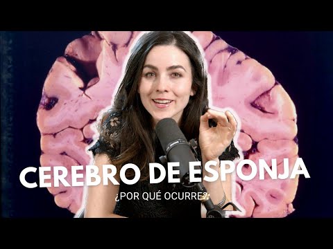Los Priones: Proteínas Zombies que comen cerebros.