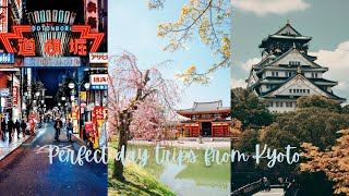 Kyoto's best day trips that will leave you in awe!