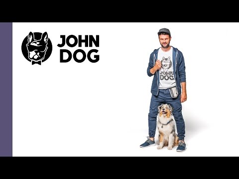 Leżeć, czyli jak nauczyć psa kłaść się na komendę – cześć 1 - TRENING PSA - John Dog