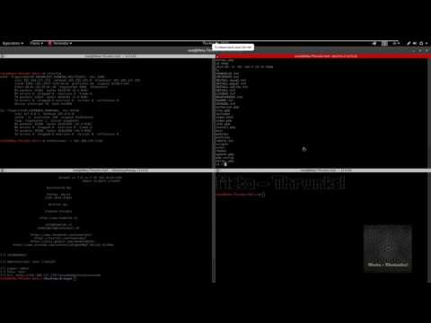 Boot2Root DroopyCTF - Demo - Meta Thrunks!
