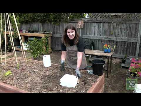 Worm Friends: How to make your own worm farm