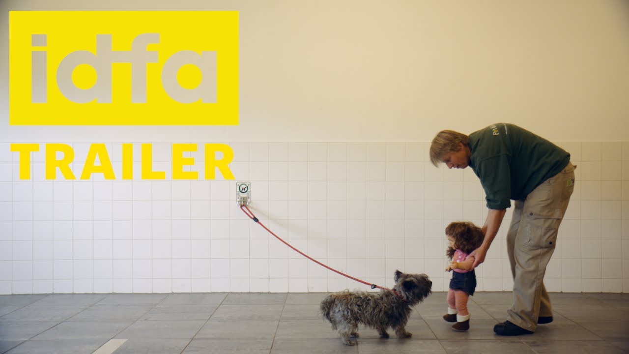 IDFA 2020 | Trailer | Sheltered