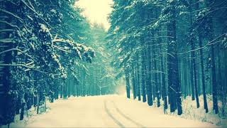 Justin Garner ⁃⁃⁃ Stop The World (RnB)