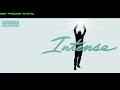 Armin Van Buuren Intense CD Full
