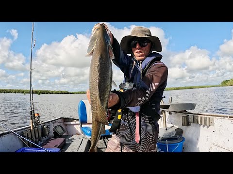 First barramundi (Catch & Cook Bull shark)