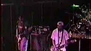 Home Grown Live "We R Dumb"