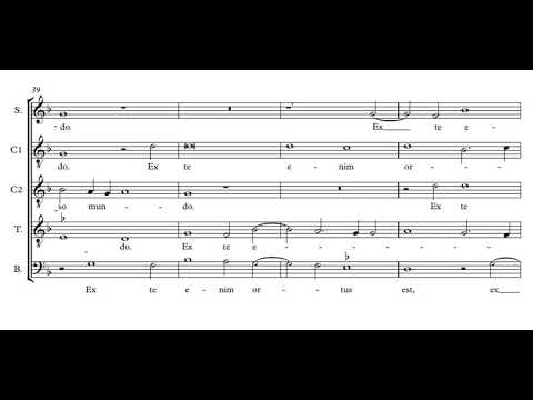 Gombert: Conceptio tua - Beauty Farm