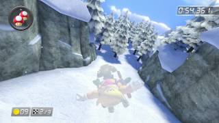 Mount Wario - 1:47.600 - Blake G. (Mario Kart 8 World Record)