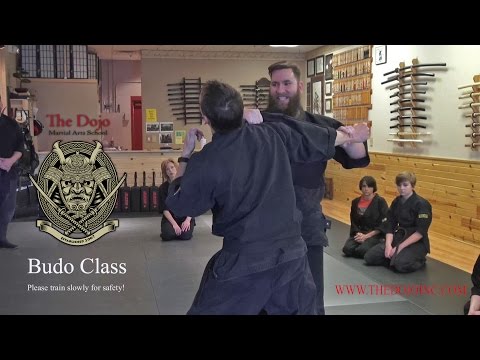 Budo Class The Dojo Martial Arts Cincinnati Ohio Ninjutsu