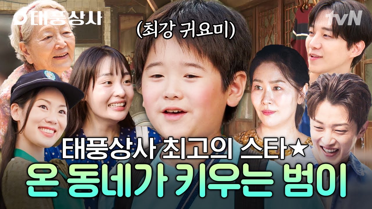 [#태풍상사] 태풍상사 최고의 막둥이👶 태생부터 귀여움 한도 초과 범이 모음💖