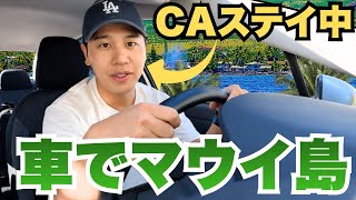 【初挑戦】CAがマウイ島ステイ中に弾丸ドライブしてみた。