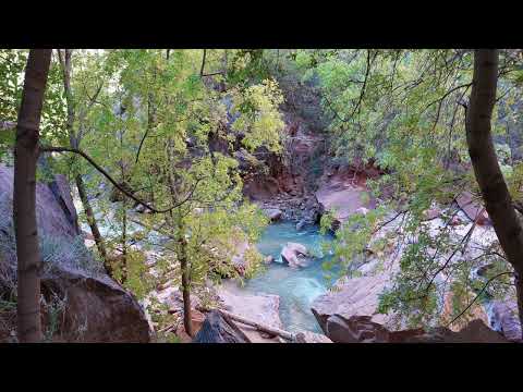 Opwekking 324 Ik wil komen en knielen 1B