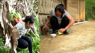 Banana harvest single mother