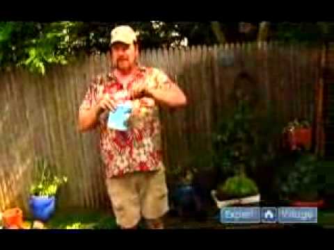 Fertilizing Container Gardens: Home Gardening Tips, Ideas & Advice - YouTube