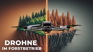So verändert die Drohne den Forstbetrieb – Sturmschäden, Borkenkäfer &amp; mehr!