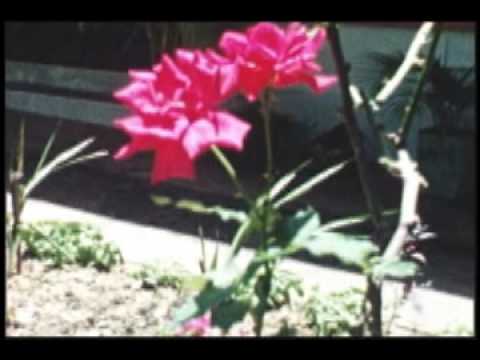 TIME OUT IN TRINIDAD - 1950s - Pt. 14 - Mount Saint Benedict