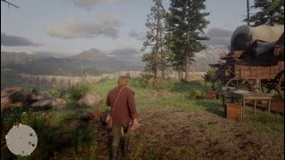 Red Dead Redemption 2- How to give camp ammo and medical supplies