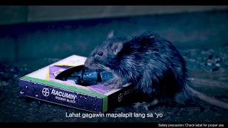 Racumin Rodent Block Video: Basang Basa