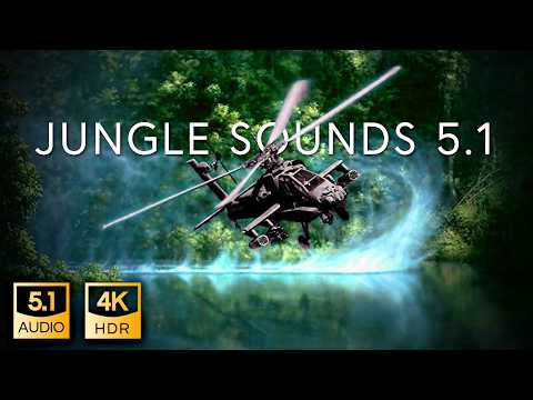 5.1 Jungle Sound | THX Surround-EX 6.1 | 4K HDR