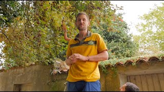 Aux Arbres Citoyens : cueillettes solaires et solidaires