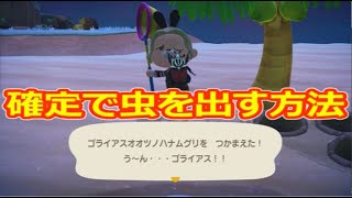 【あつ森】レア虫を簡単に捕まえる方法
