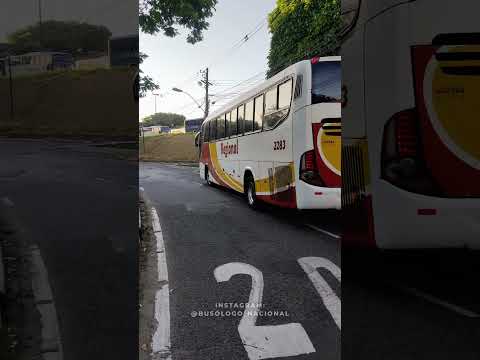 VIAÇÃO REGIONAL-2283/SALVADOR(BA) X TEODORO SAMPAIO(BA)#busologia#busologo#regional#shorts