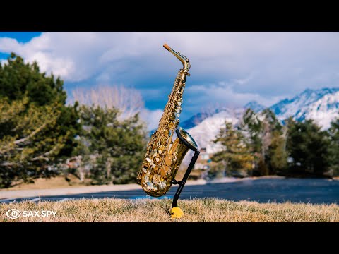 Selmer Mark VI vs Selmer SA80 II