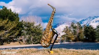 Video thumbnail for Selmer Mark VI vs Selmer SA80 II by Sax Spy