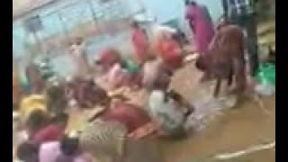 preview picture of video 'vijayaramapuram kolapotti'