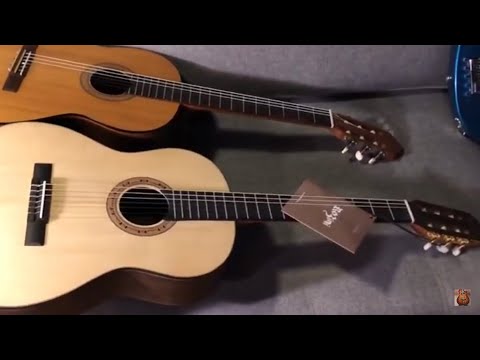 YAMAHA C40 vs ROZINI RX210 | Which is the best guitar?