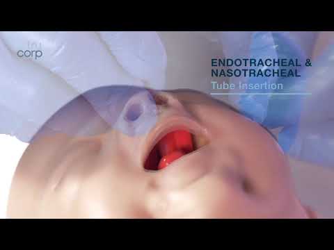 Airsim Pierre Robin X