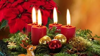 Gloria in Excelsis Deo - Angels we have heard on high (organ - hauptwerk)