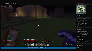 のんびりマイクラーン！