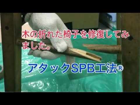 折れた木の枝を修復するにはどうすればよいですか?シンプルな解決策があります。  庭園