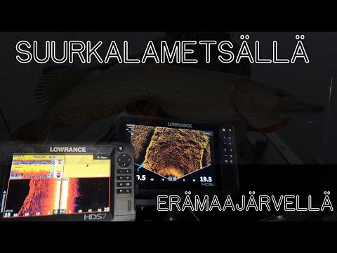 Haukikalassa Marraskuussa | Pienen Järven Suurkaloja