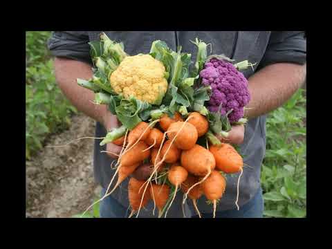 La Leyenda De La Luna Legend of the Moon