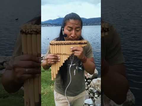 The Sound Of Silence 🤫 - El Sonido del Silencio | Instrumental Version Pan Flute | Andean Music