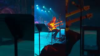 Bumblefoot Live Abnormal