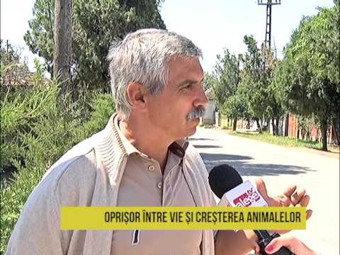 Iubesc Oltenia - 09.07.2015